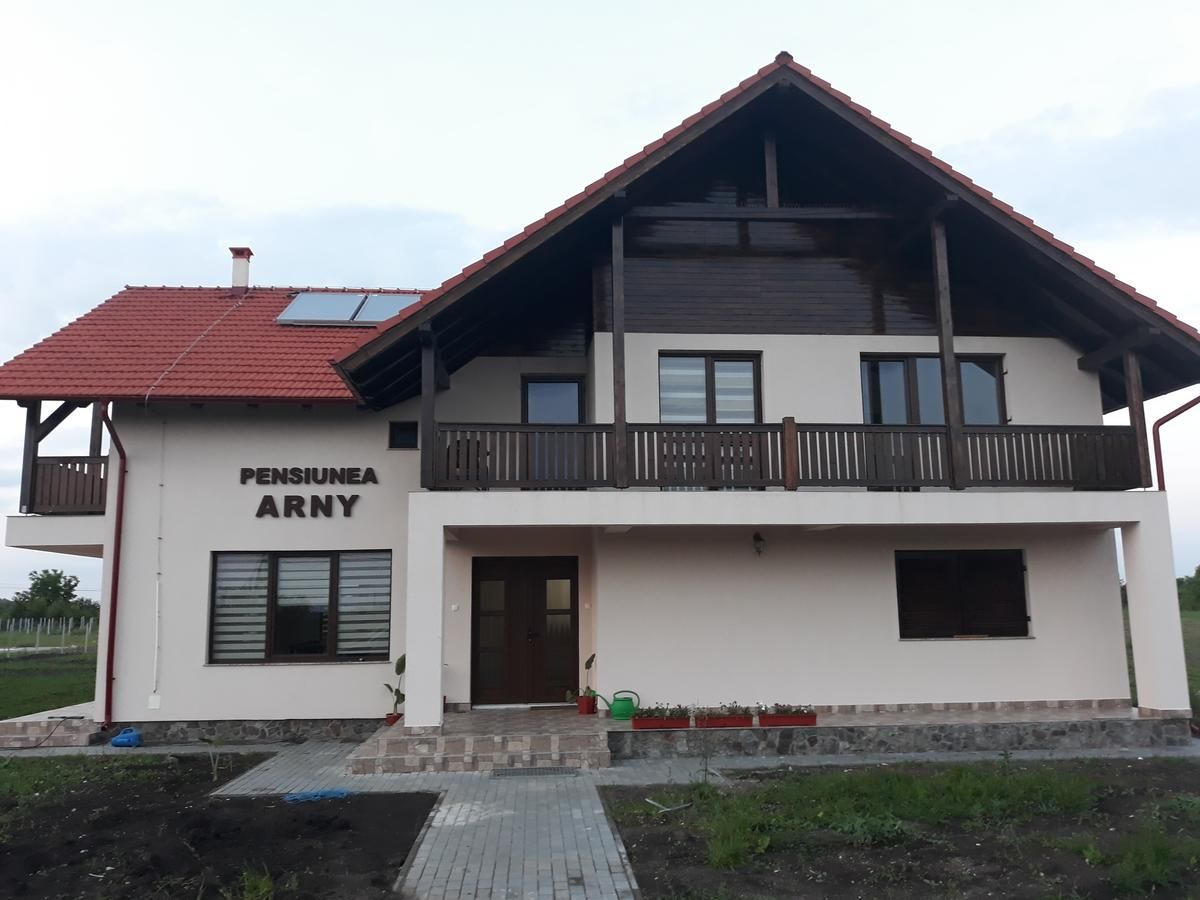 Гостевой дом Pensiunea Agroturistica Arny Acîş-5